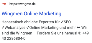 Snippet Beispiel Wingmen Online Marketing