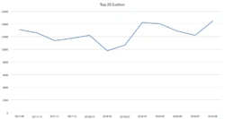 Trend für Top-20 Begriffe der letzten 12 Monate leicht steigend (saisonal?)