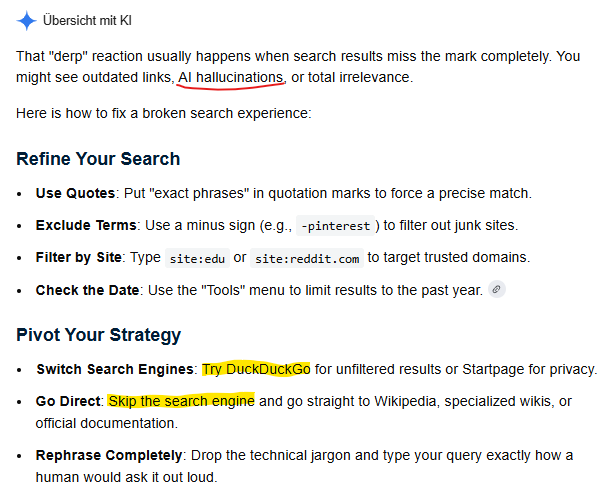 Screenshot von Google auf Basis einer Recherche zu "DERP in SERPs"