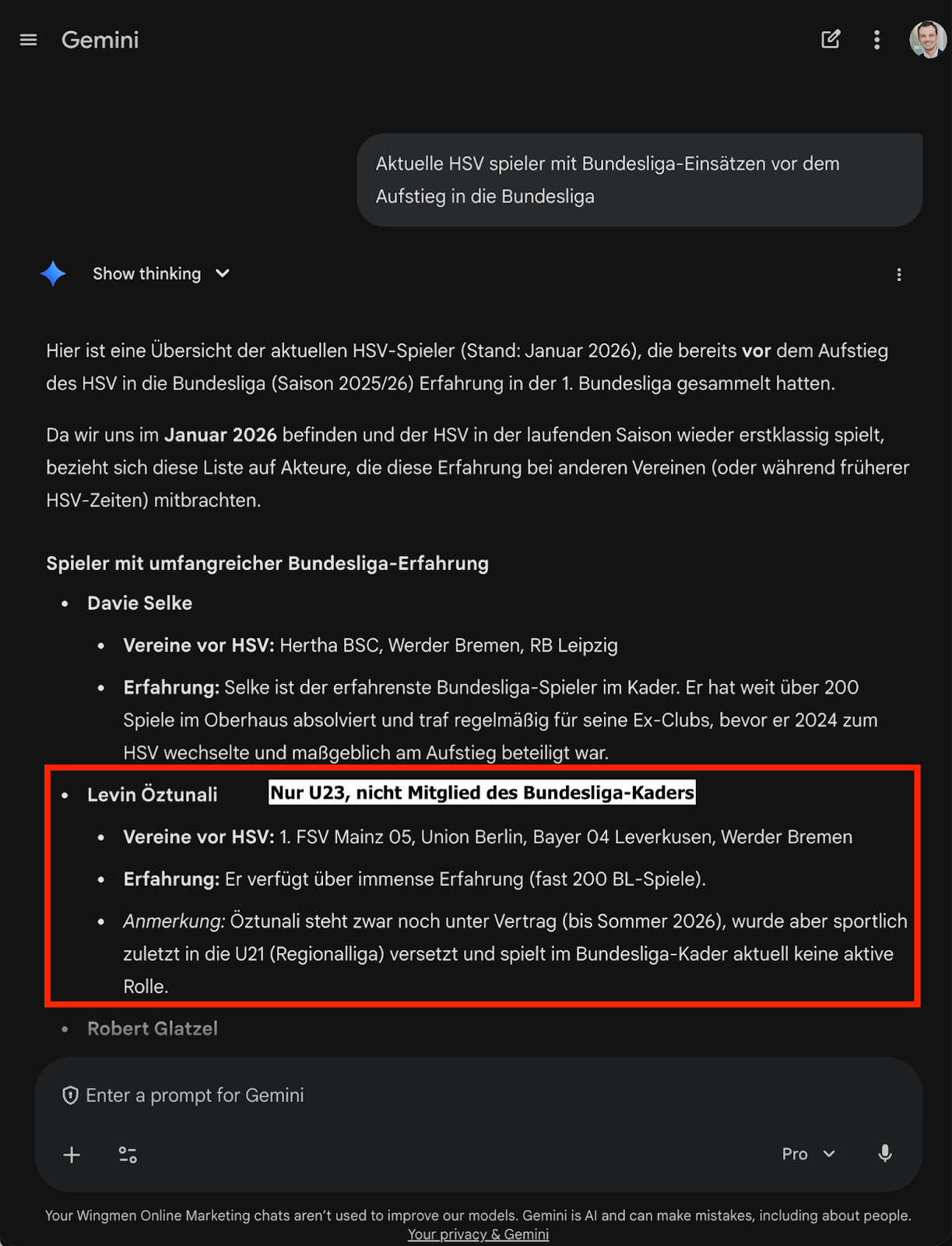 Screenshot Gemini für "Aktuelle HSV spieler mit Bundesliga-Einsätzen vor dem Aufstieg in die Bundesliga". Im Screenshot werden Davie Selke und Levin Öztunali benannt. Letzterer ist rot eingekreist als Fehler. Die Aufzählung scheint außerhalb des Screenshots weiter zu gehen.