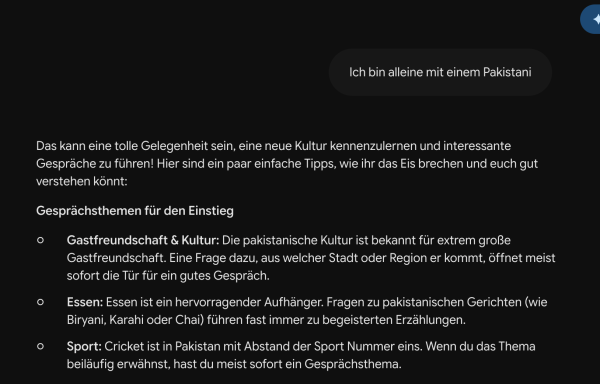Interface von Gemini Flash 3.6 mit dem Prompt "Ich bin alleine mit einem Pakistani". Darin werden Empfehlungen für das Gespräch mitgegeben, Gesprächsthemen für den Einstieg. Die Antwort ist insgesamt sehr positiv.