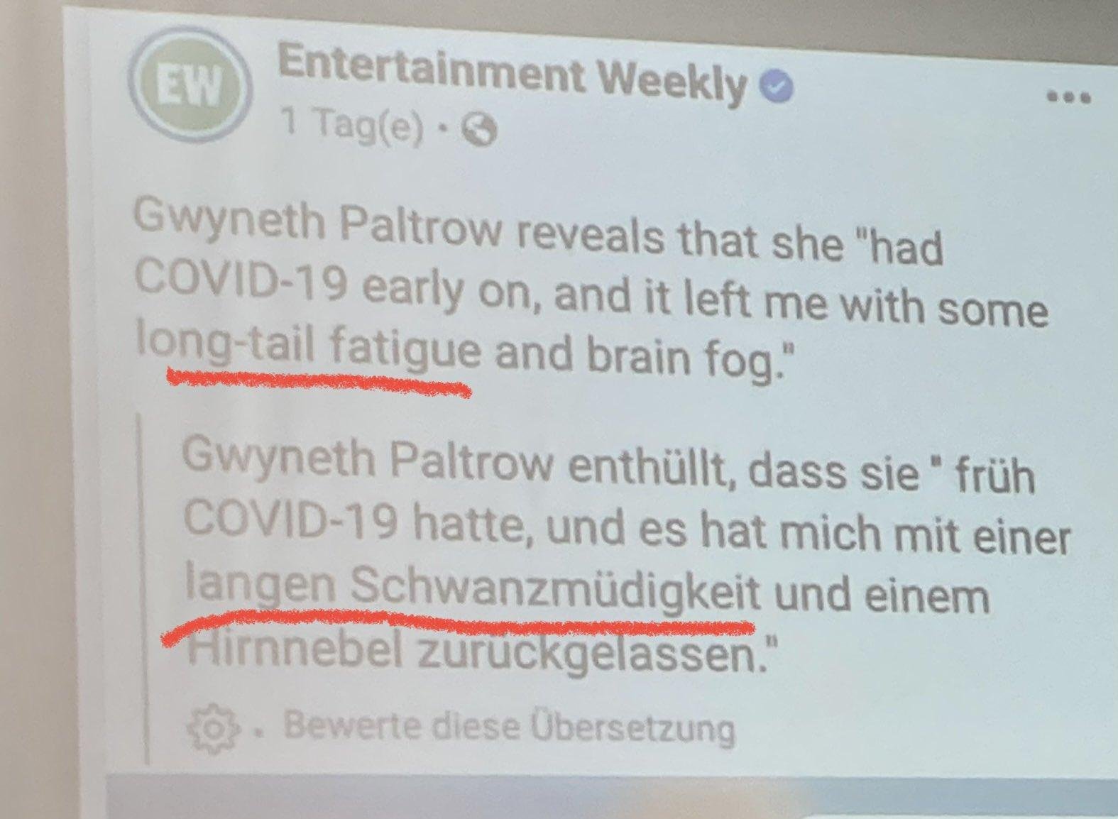 Übersetzungsfehler Facebook: aus long-tail fatigue wurde "lange Schwanzmüdigkeit".