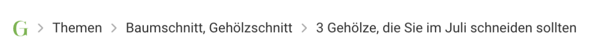Screenshot der Breadcrumb der Seite https://www.mein-schoener-garten.de/social/3-gehoelze-die-sie-im-juli-schneiden-sollten-44443
Zu sehen ist: Das Logo von Mein schöner Garten > Baumschnitt, Gehölzschnitt > 3 Gehölze, die Sie im Juli schneiden sollten