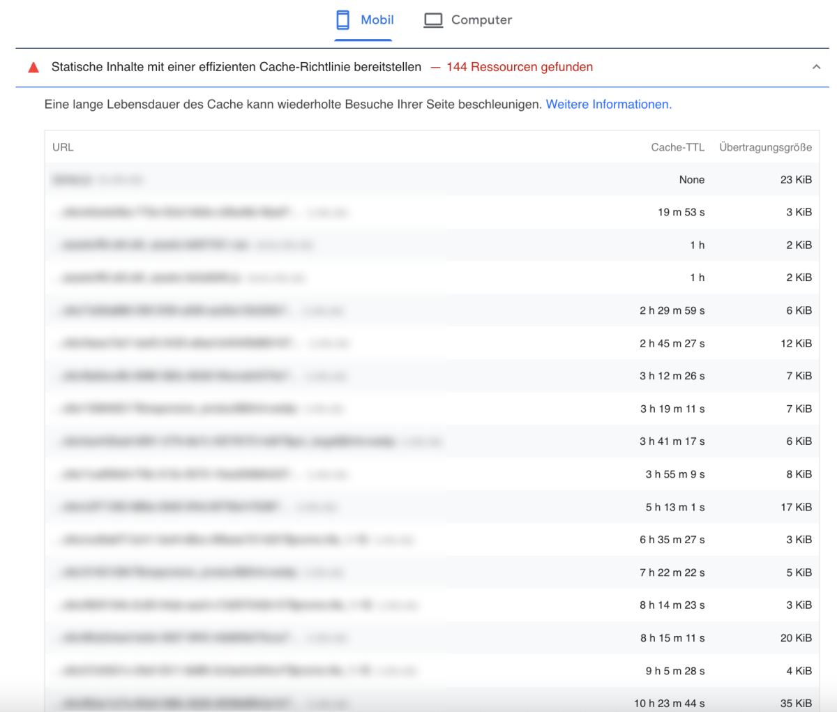 PageSpeed Insights, Abschnitt „Statische Inhalte mit einer effizienten Cache-Richtlinie bereitstellen“: 144 Ressourcen mit ihrer Cache-Lebensdauer von wenigen Minuten bis zu mehreren Stunden