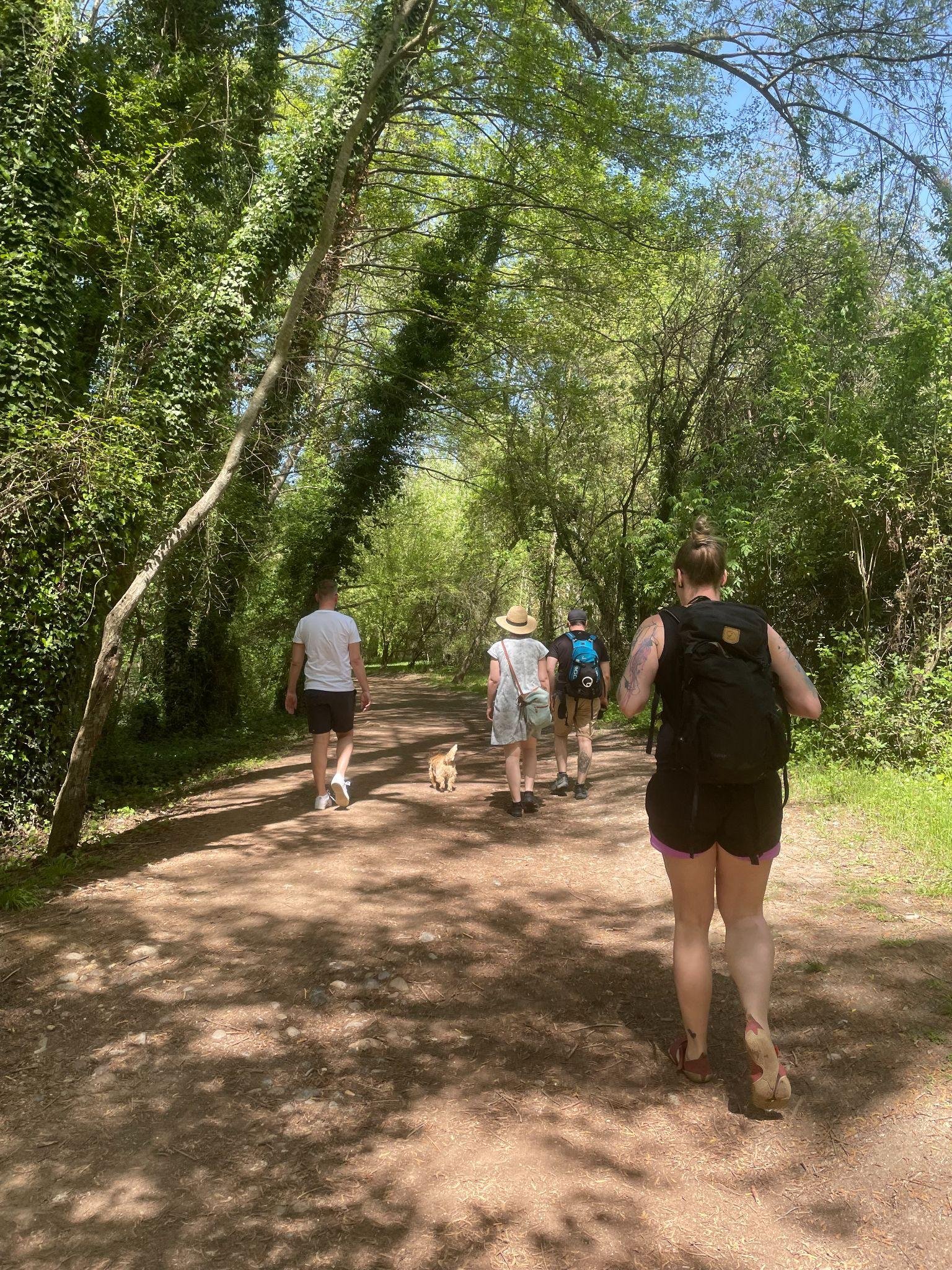 Fünf Menschen und ein Hund gehen von der Kamera weg über einen schattigen Sandweg zwischen grünen Bäumen.